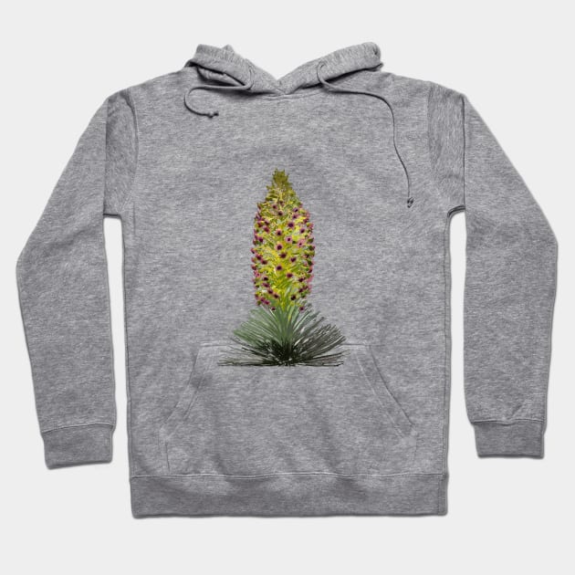 Haleakalā Silversword or ‘Āhinahina Hoodie by NadJac